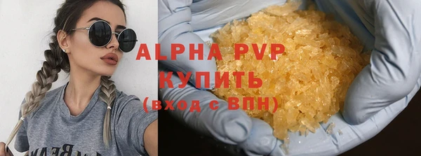 гашик Алексин