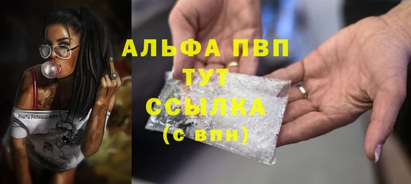 дмт Алзамай