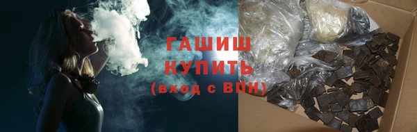 гашик Алексин