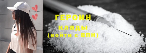 гашик Алексин