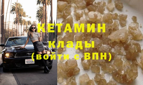 гашик Алексин