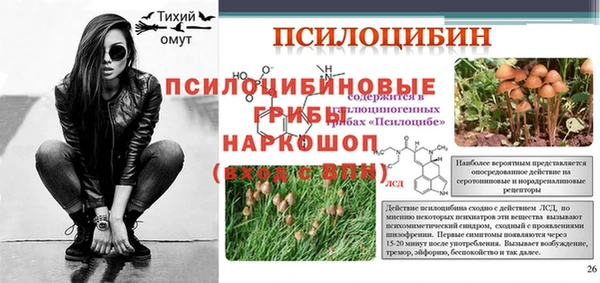 дмт Алзамай