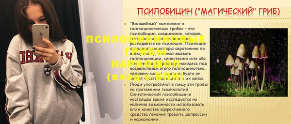 дмт Алзамай