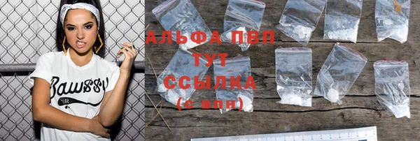 гашик Алексин