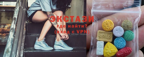 гашик Алексин