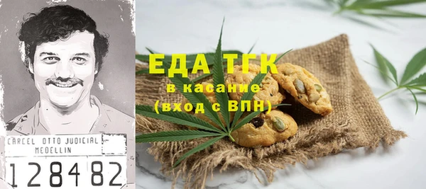 гашик Алексин