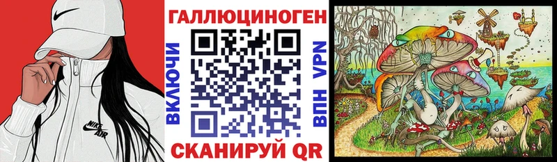 Галлюциногенные грибы Psilocybe  цена   Аргун 